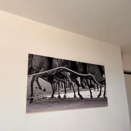 아파트 La Casa Del Palio